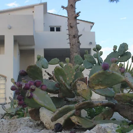 Bed & Breakfast Sole Della Valle *